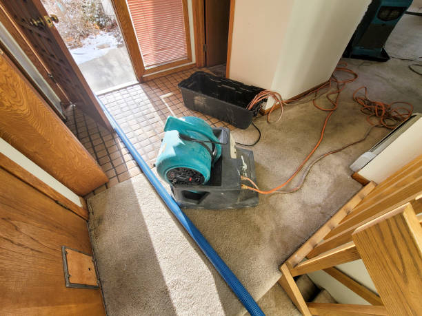 Best Mold removal after water damage  in Lake Carmel, NY
