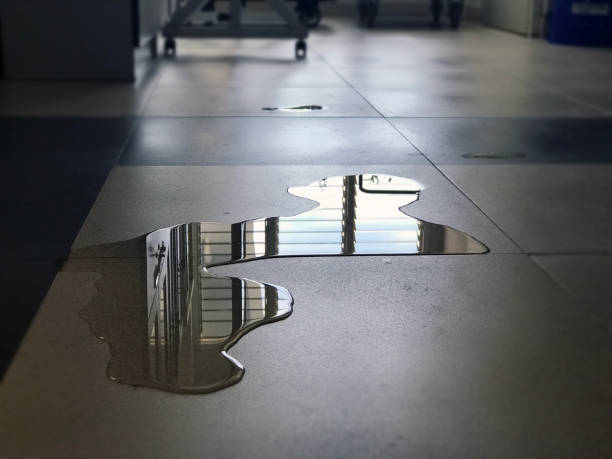 Best 24-hour water damage restoration  in Lake Carmel, NY
