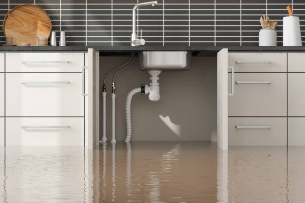 Best Flood restoration services  in Lake Carmel, NY