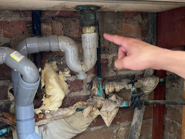 Best Flood damage cleanup  in Lake Carmel, NY
