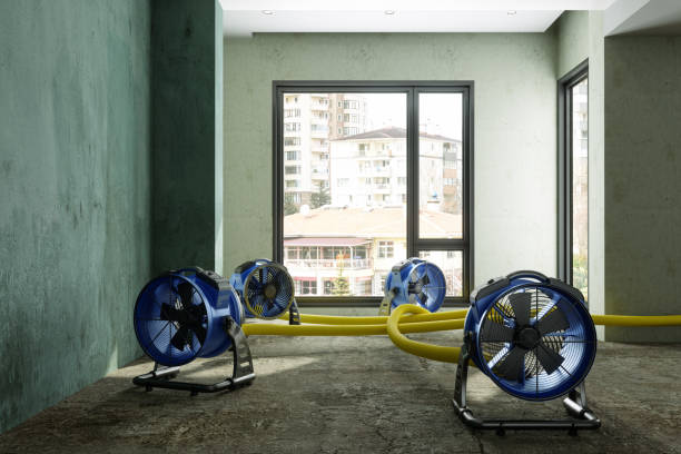 Best 24/7 water damage repair  in Lake Carmel, NY